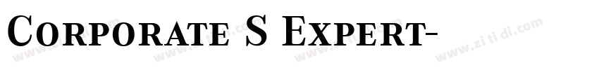 Corporate S Expert字体转换